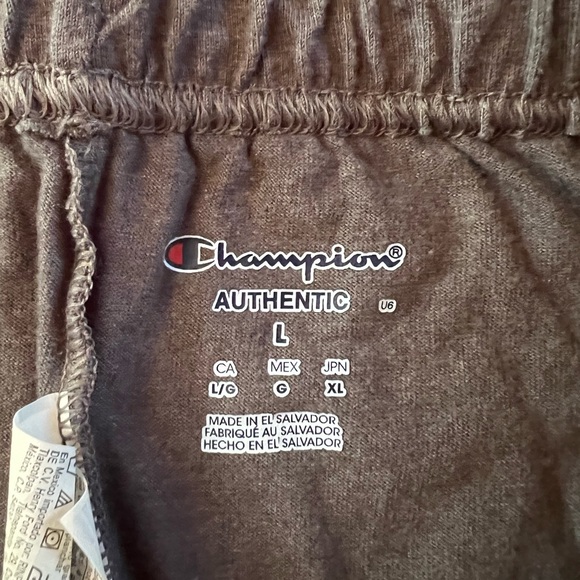 EUC Champion gray shorts (L) - Picture 3 of 5